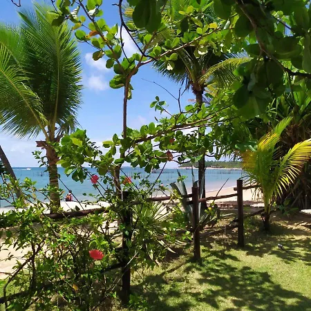 Pousada Mediterraneo Barra Grande  Exterior photo